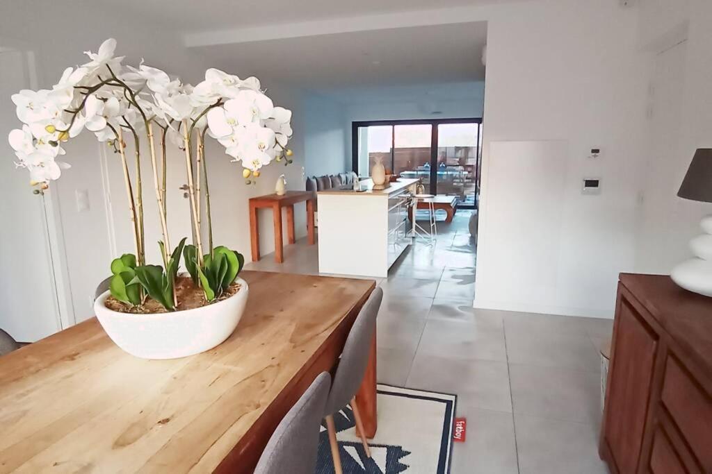 Апартаменты Loft Standing 100 M2 A 200 Metres De La Plage Лакано Экстерьер фото